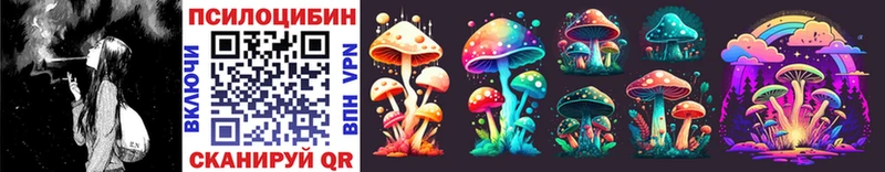Галлюциногенные грибы Psilocybe продажа наркотиков Орск